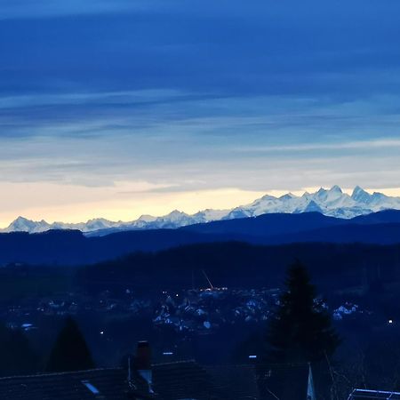 Alpenpanorama Haegelberg Apartment Steinen  Bagian luar foto