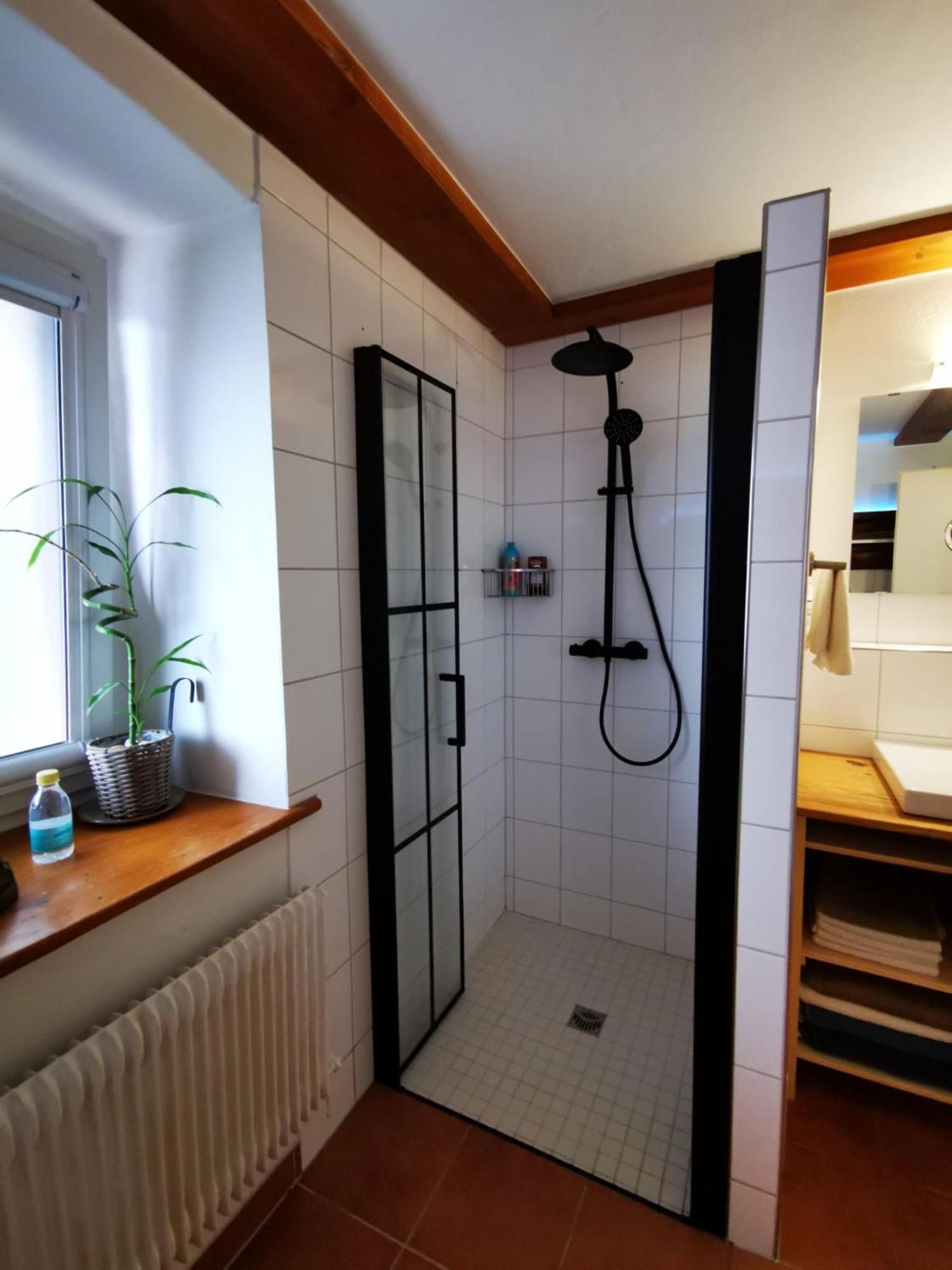 Alpenpanorama Haegelberg Apartment Steinen  Bagian luar foto